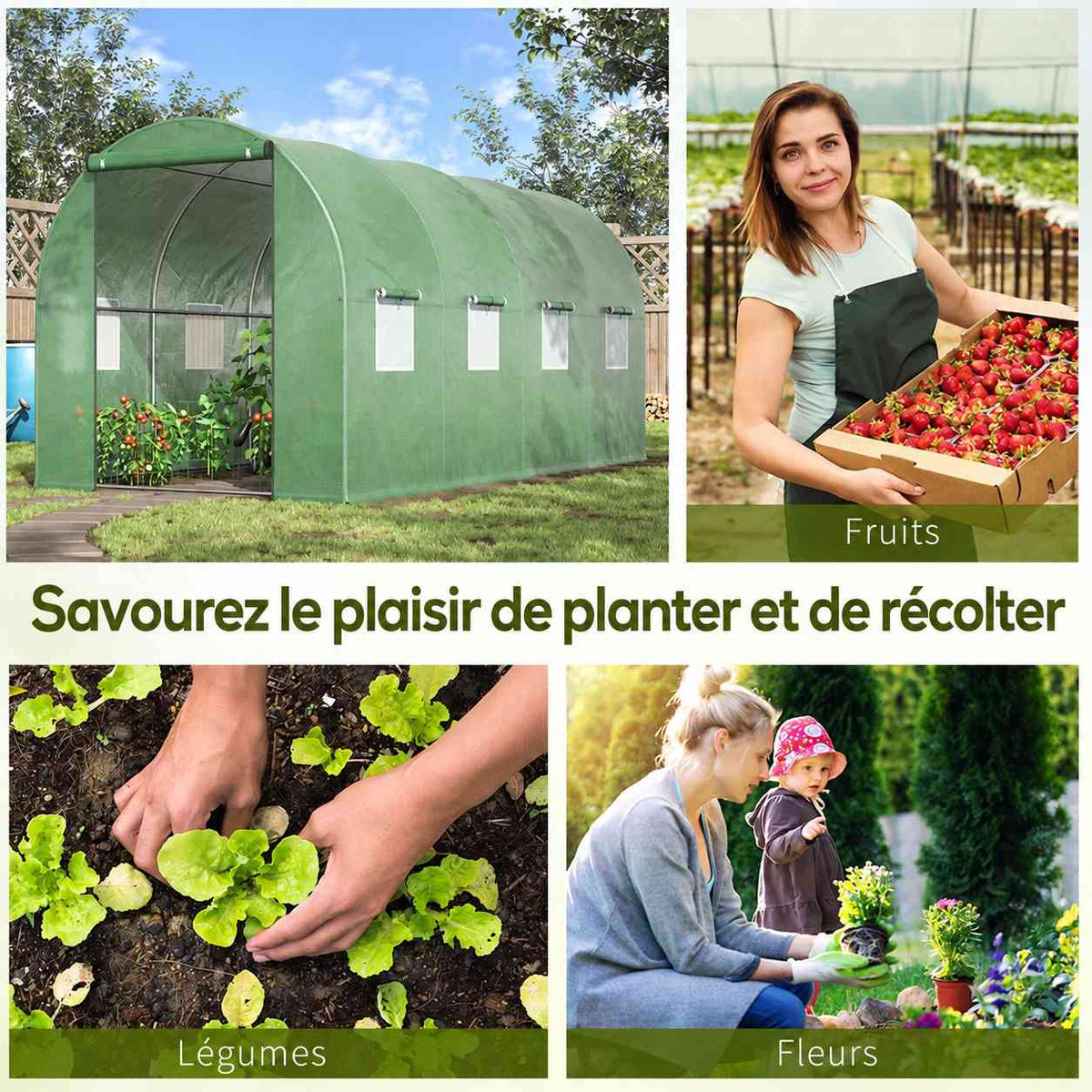 Serre tunnel et exemples de cultures de fruits, légumes et fleurs