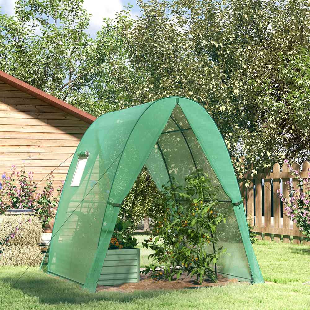 Serre verte ogivale avec plantes dans le jardin près d’un abri