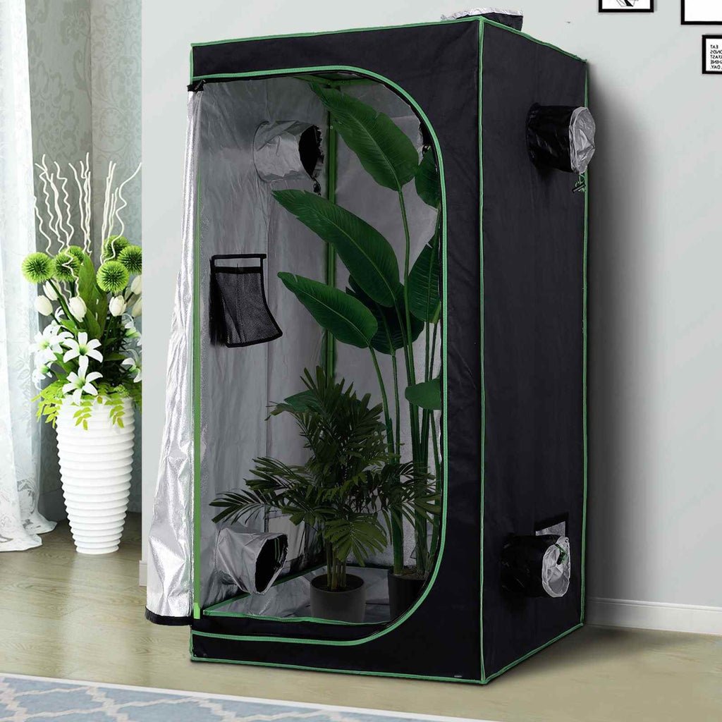 Chambre de culture ouverte avec grandes plantes et intérieur réfléchissant
