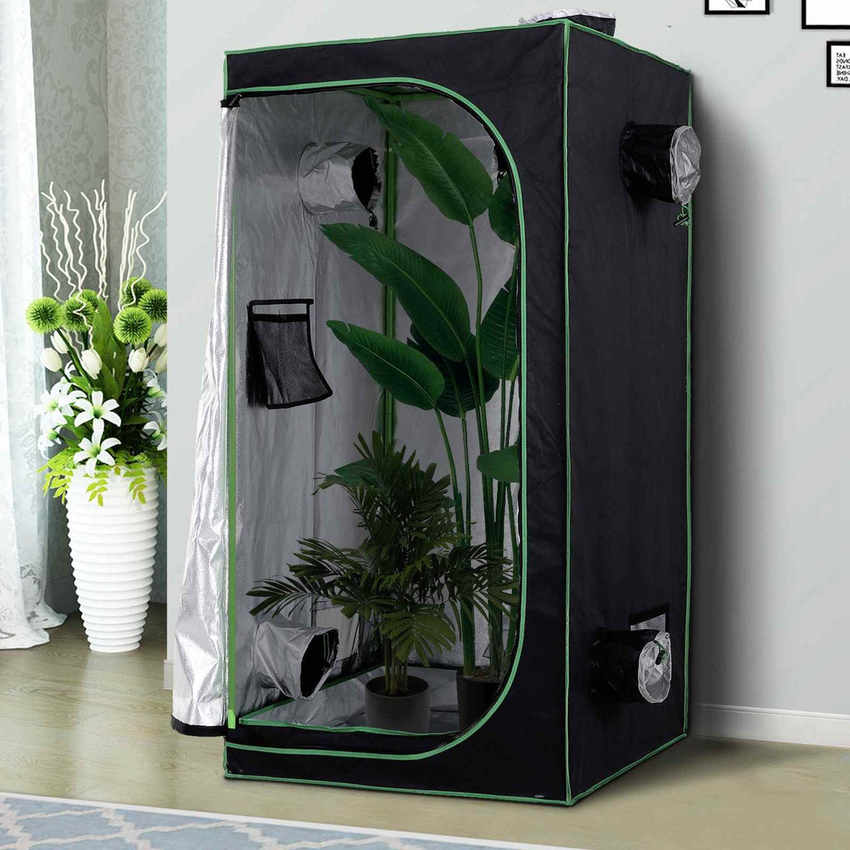Chambre de culture ouverte avec grandes plantes et intérieur réfléchissant