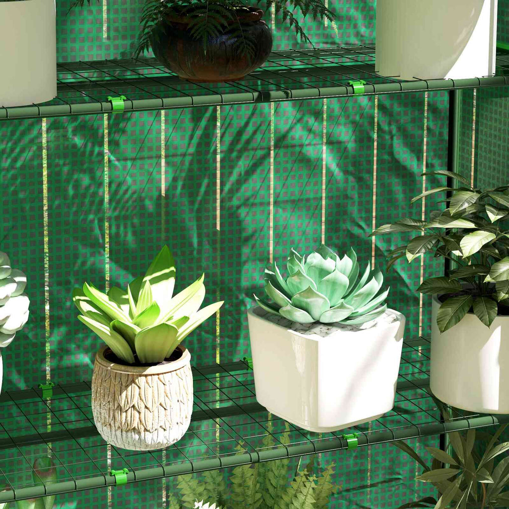 Gros plan sur les plantes en pots et les étagères de la serre verte