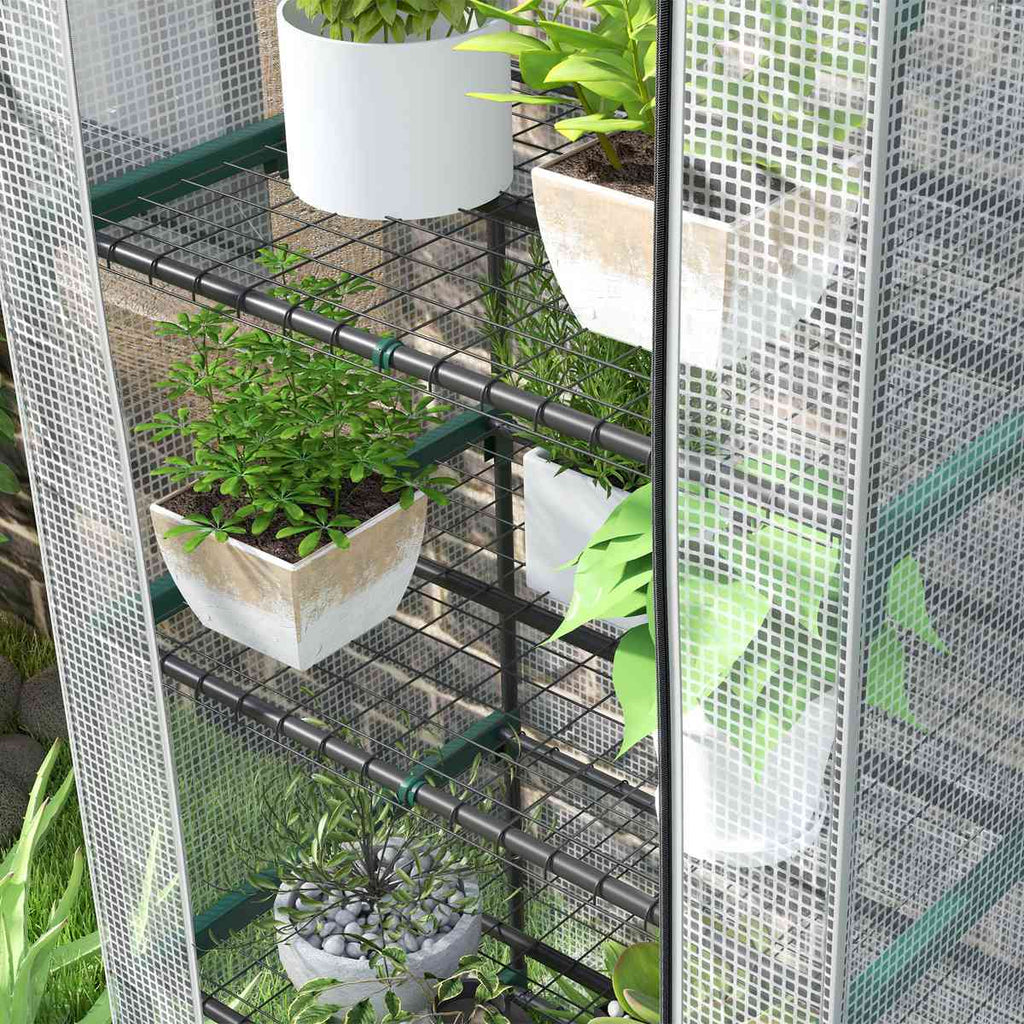 Gros plan sur les plantes et les étagères grillagées de la mini serre transparente