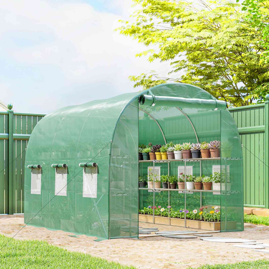 Serre tunnel verte ouverte avec plantes sur étagères dans le jardin