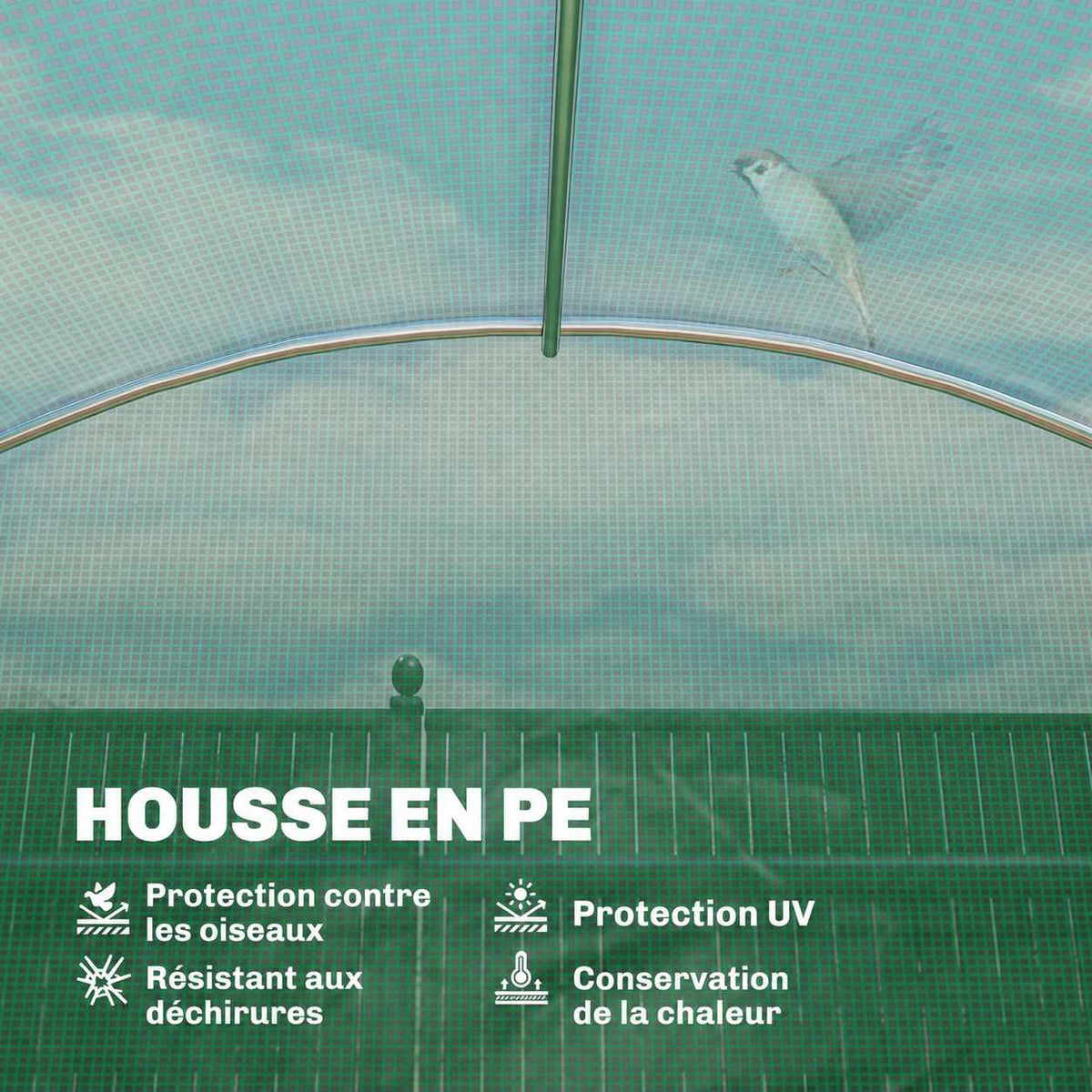 Détail intérieur de la housse verte et des arceaux de la serre tunnel