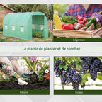 Serre tunnel et exemples de cultures de légumes, fleurs et raisins