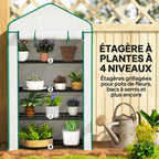 Quatre niveaux de plantes dans la mini serre blanche