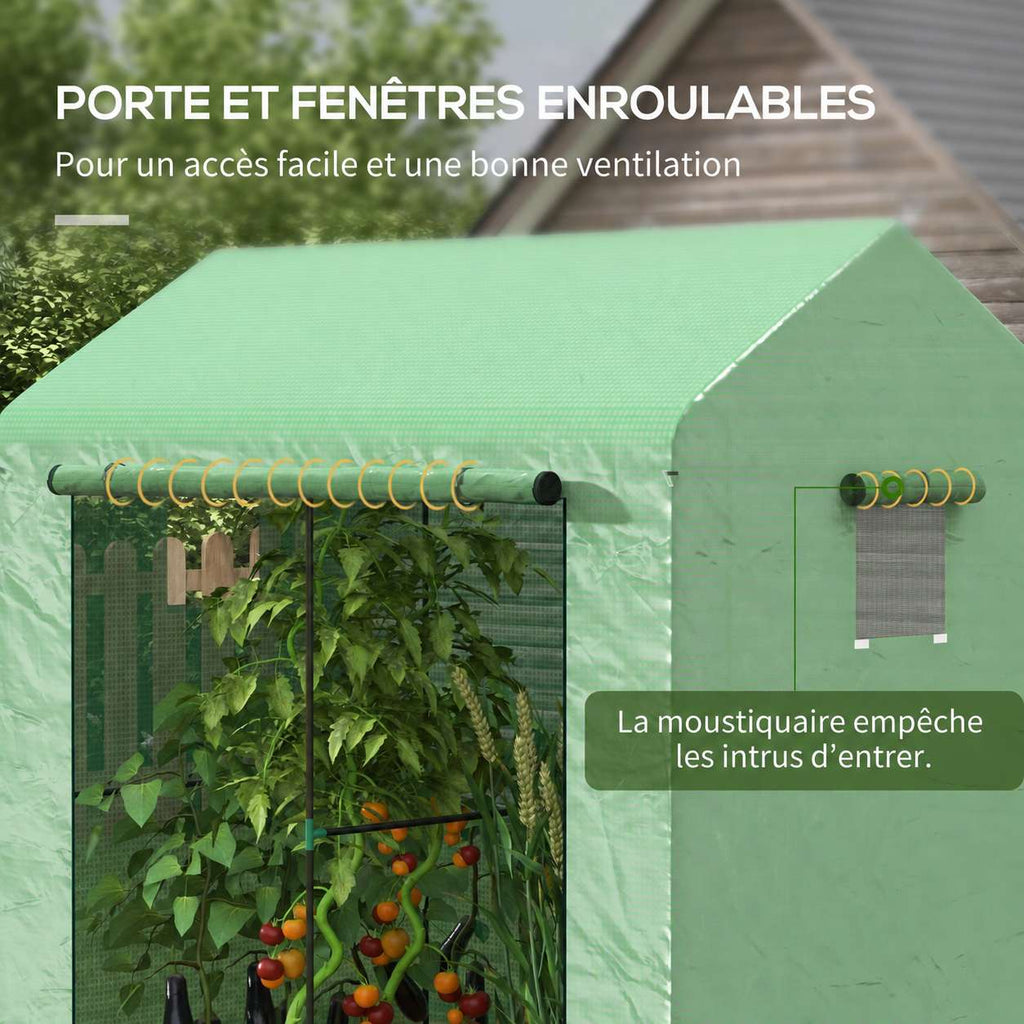 Porte enroulée et fenêtre à moustiquaire de la serre verte