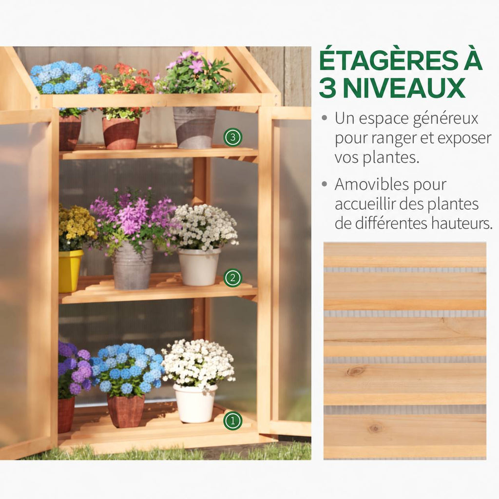 Trois niveaux de fleurs dans l’armoire serre en bois