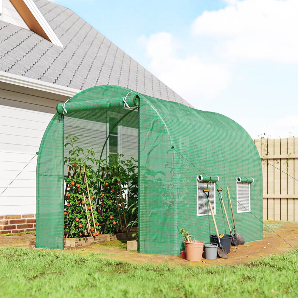 Serre tunnel verte avec tomates près d’une maison au jardin