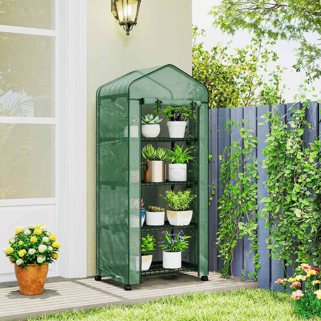 Mini serre verte avec plantes près d’une porte vitrée