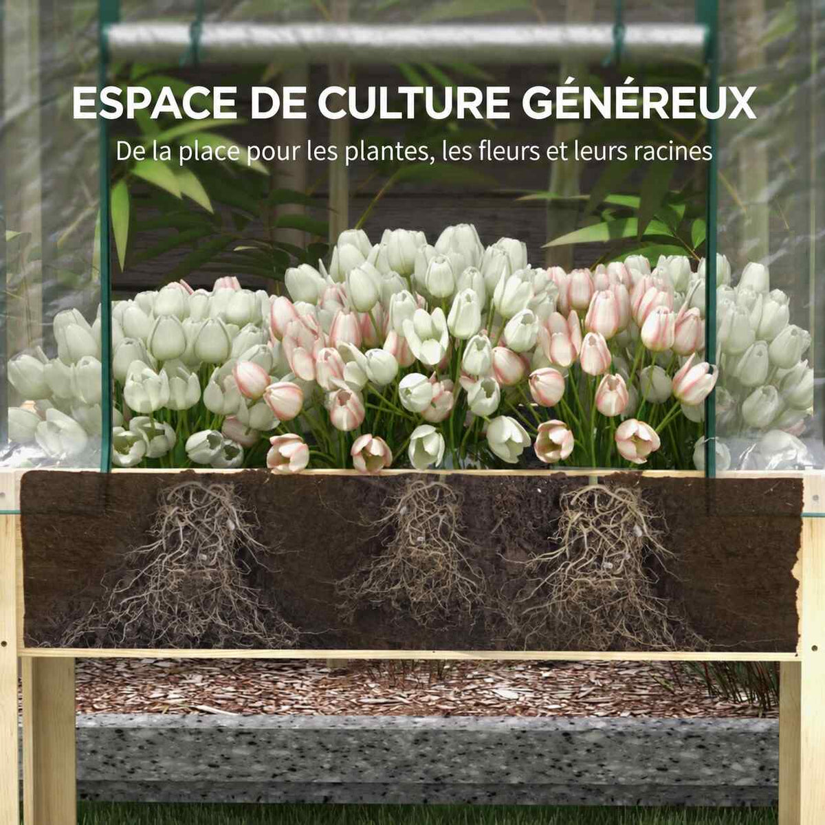 Coupe du bac potager montrant les racines des fleurs