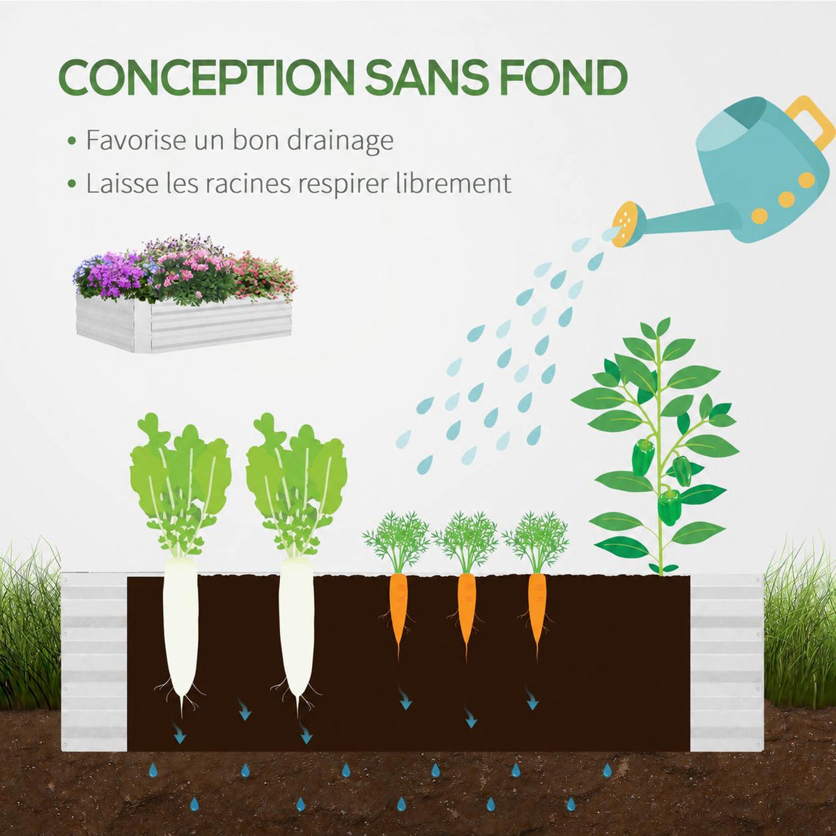 Schéma du bac potager sans fond montrant les racines et le drainage