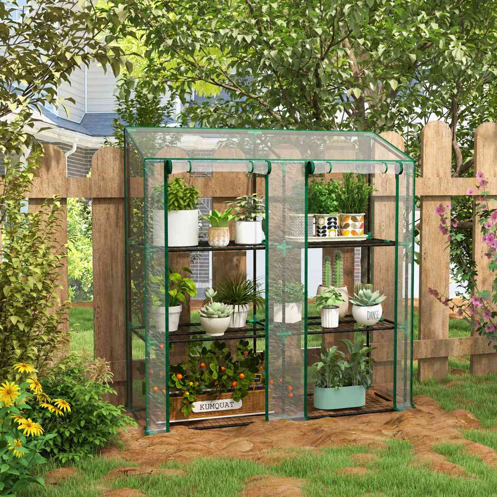 Serre transparente remplie de plantes dans un jardin