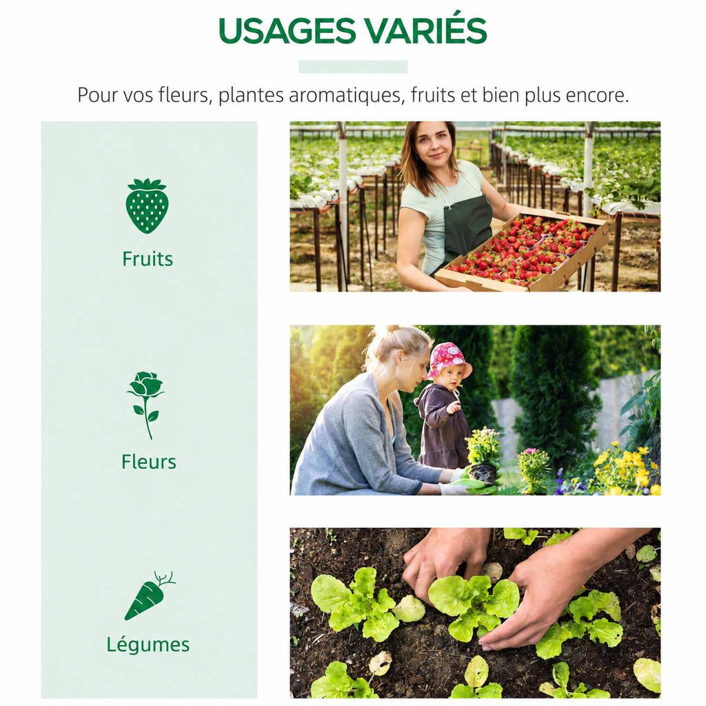 Exemples de cultures de fruits, fleurs et légumes sous serre