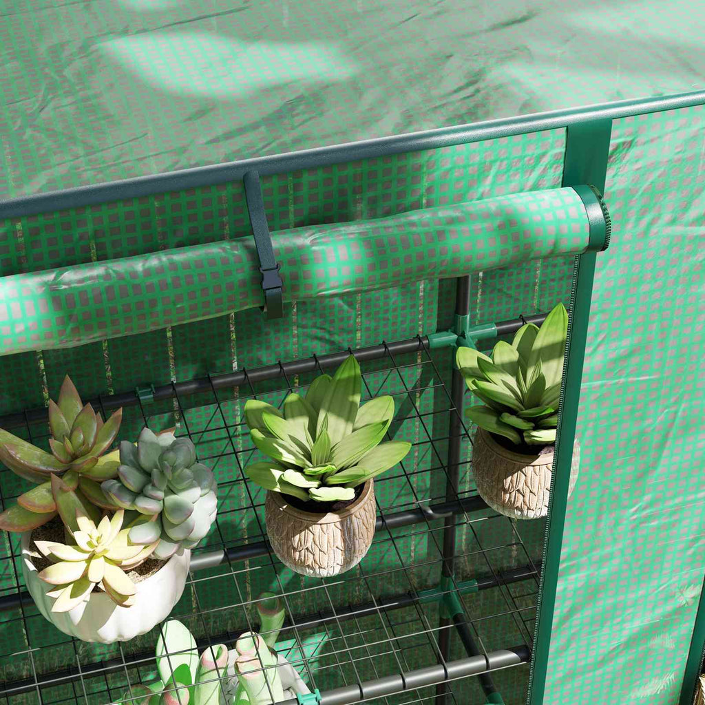 Porte verte enroulée au-dessus de plantes grasses