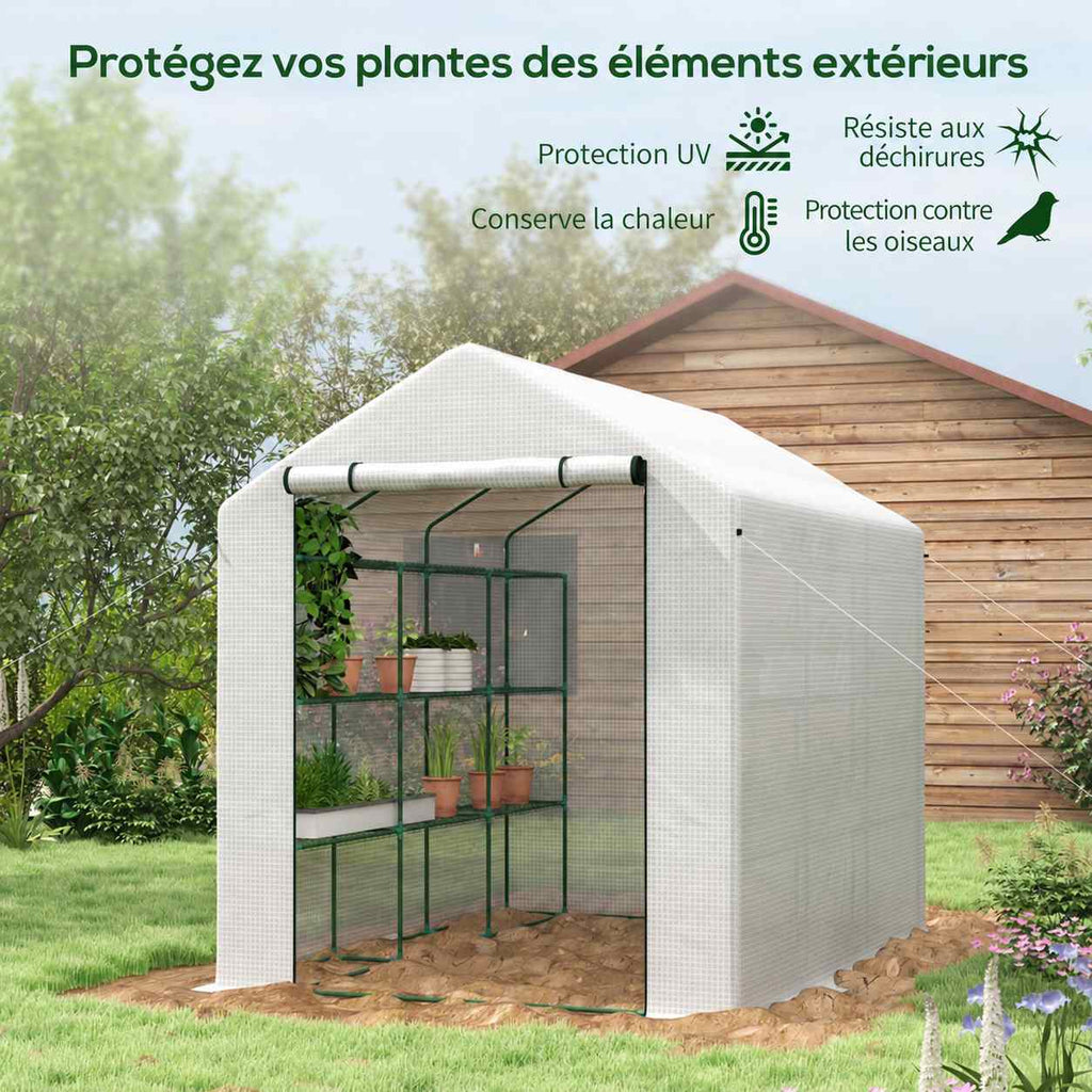 Serre blanche à étagères près d’un abri en bois