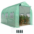 Serre tunnel verte ouverte avec tomates, cordes et piquets fournis