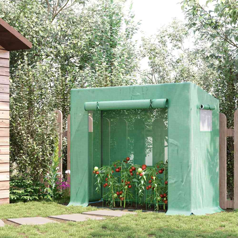 Serre verte avec tomates près d’un abri en bois
