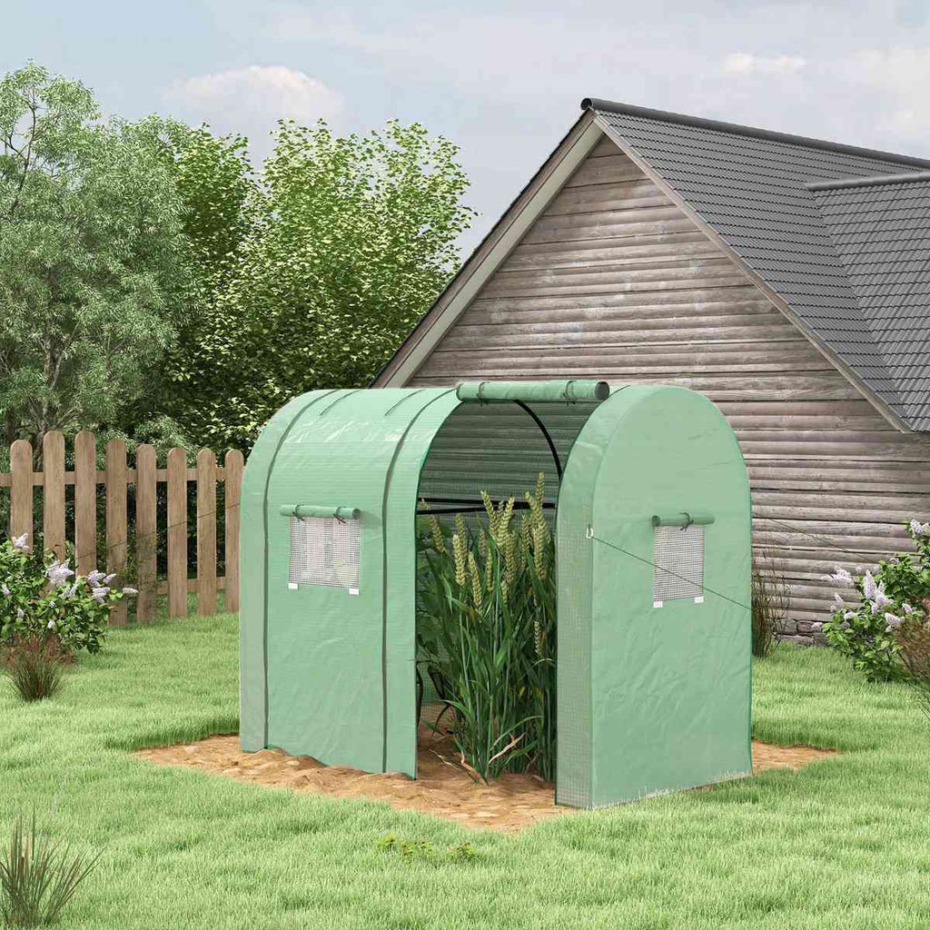 Serre verte avec cultures près d’un abri de jardin
