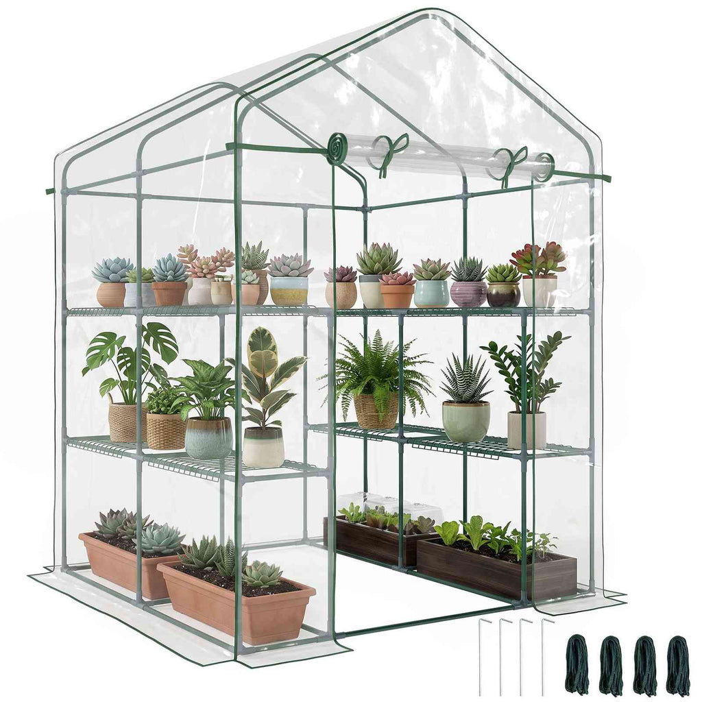 Serre transparente à étagères latérales avec plantes et piquets fournis