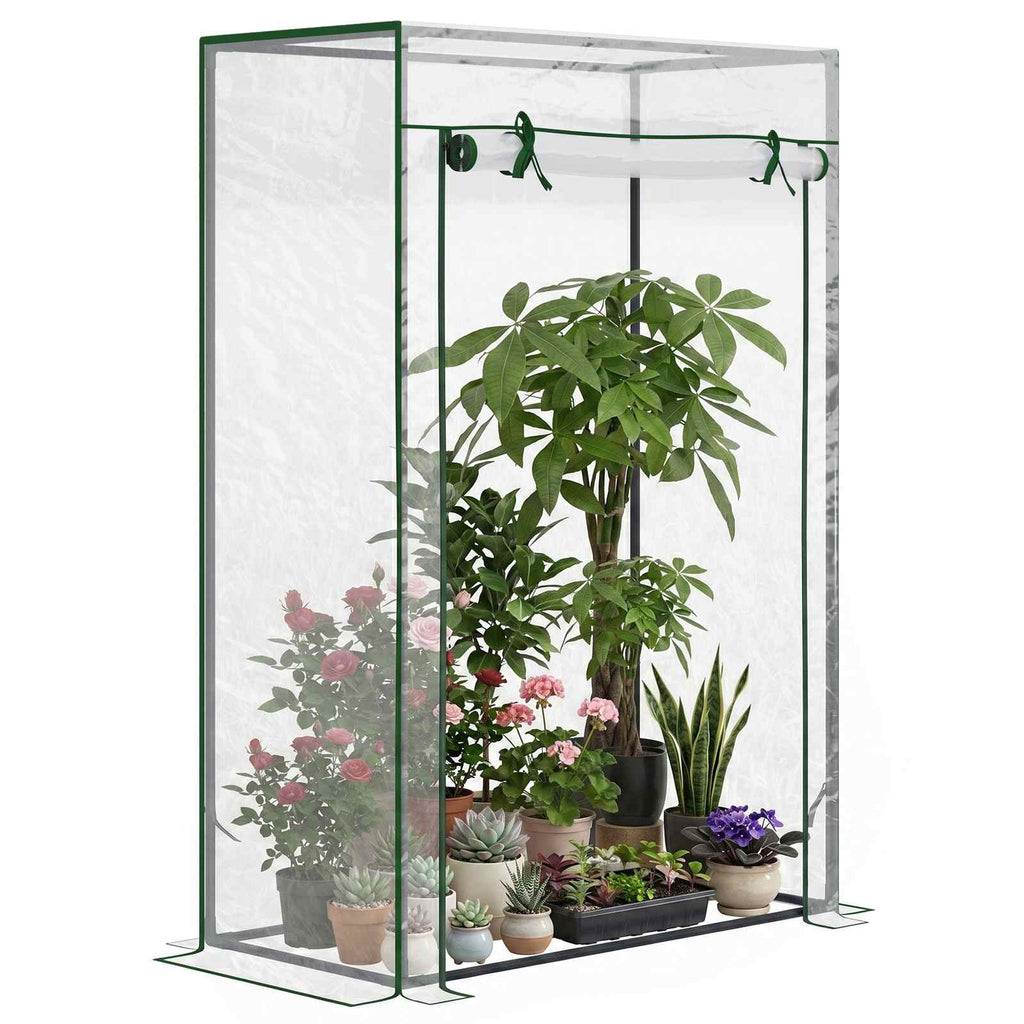 Serre à tomates transparente avec porte enroulée et plantes en pots