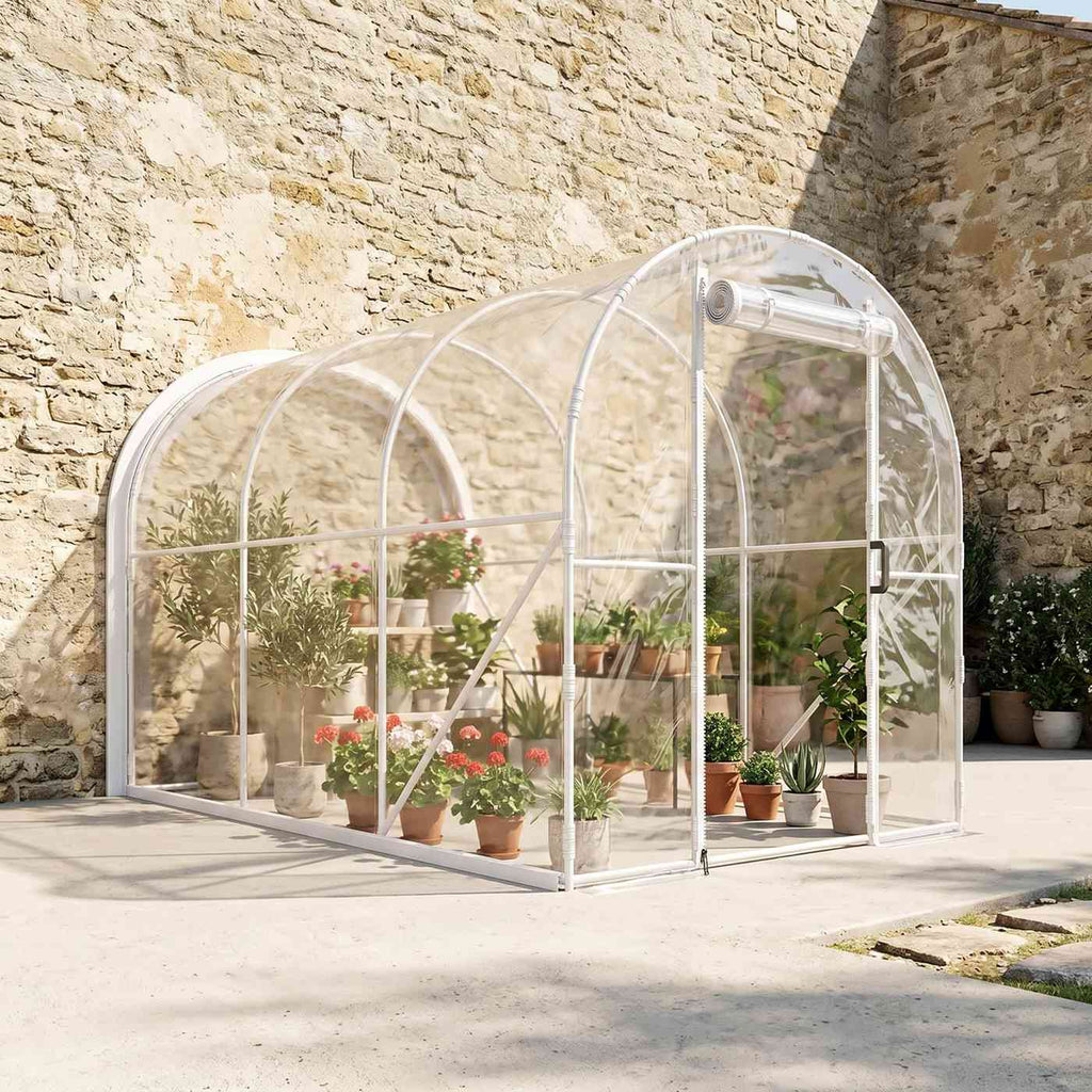 Serre transparente avec plantes près d’un mur en pierres