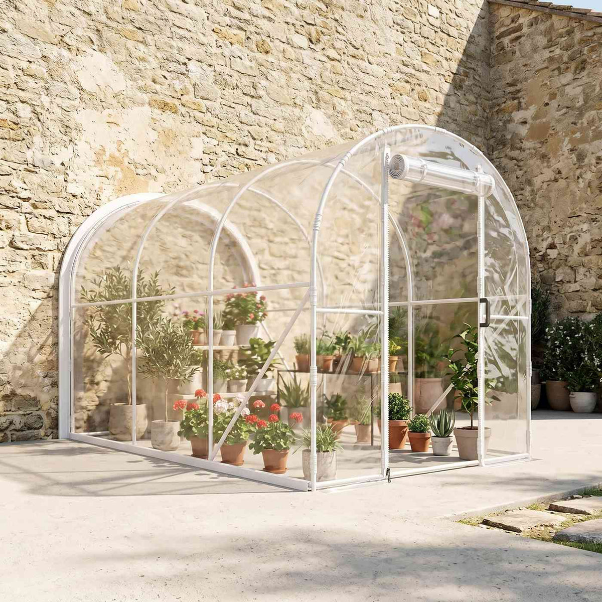 Serre transparente avec plantes près d’un mur en pierres