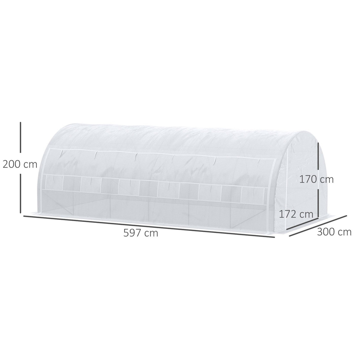 Dimensions de la serre blanche : 597 × 300 × 200 cm