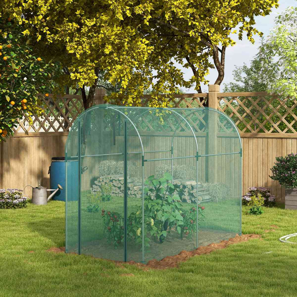 Cage fruitière verte avec plantes près d’un treillage