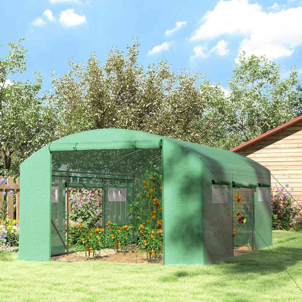 Serre tunnel verte ouverte avec cultures au jardin près d’un abri