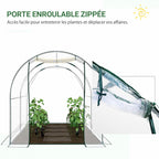 Porte zippée enroulable de la serre transparente avec plants de tomates