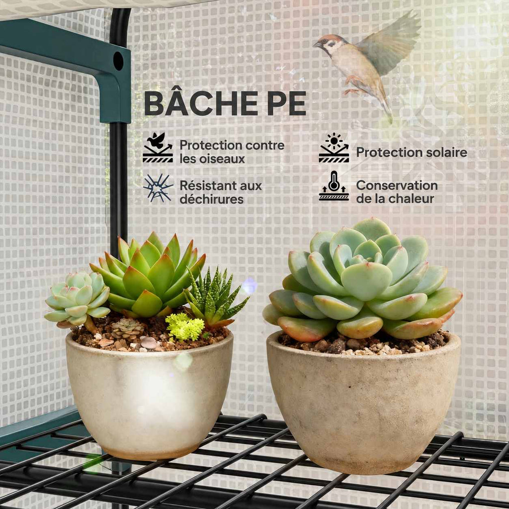 Housse blanche tramée de la serre avec plantes grasses sur une étagère