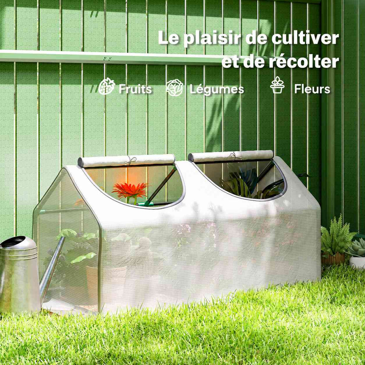 Mini-serre blanche garnie de plantes contre une façade verte