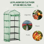 Serre à étagères et exemples de légumes, fleurs et fruits