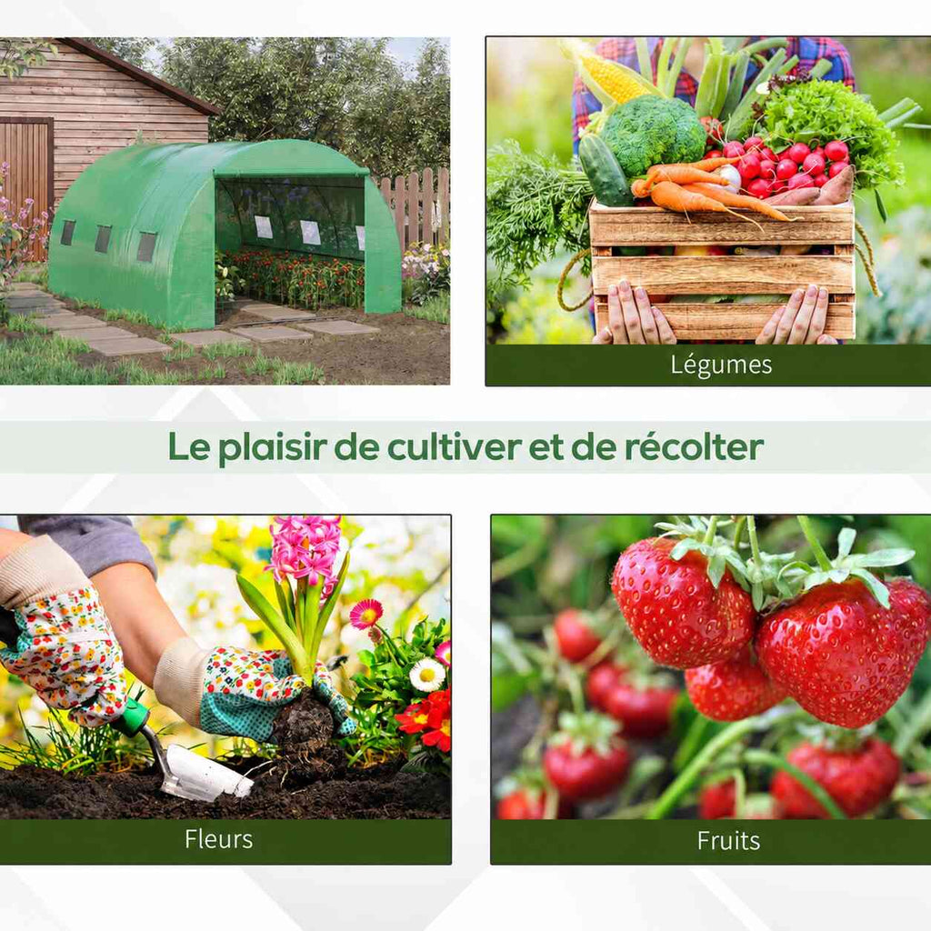 Serre tunnel verte et exemples de légumes, de fleurs et de fraises