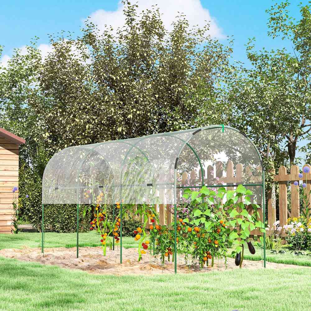 Abri à tomates transparent dans un potager