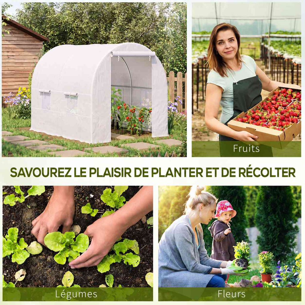 Serre tunnel et exemples de cultures de fruits, légumes et fleurs