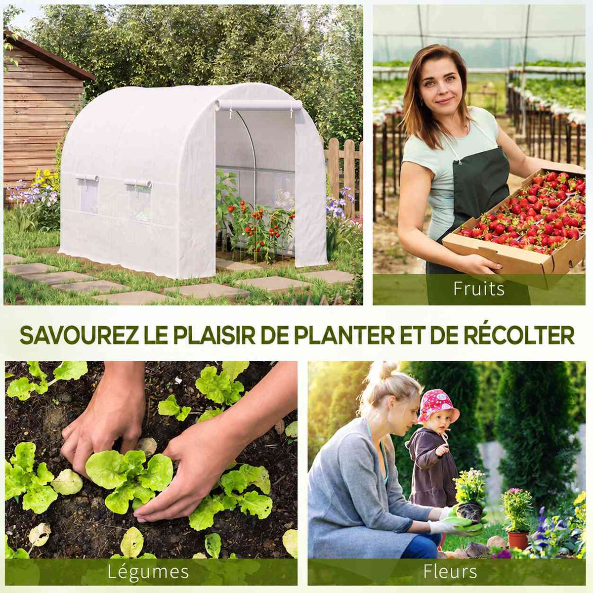 Serre tunnel et exemples de cultures de fruits, légumes et fleurs