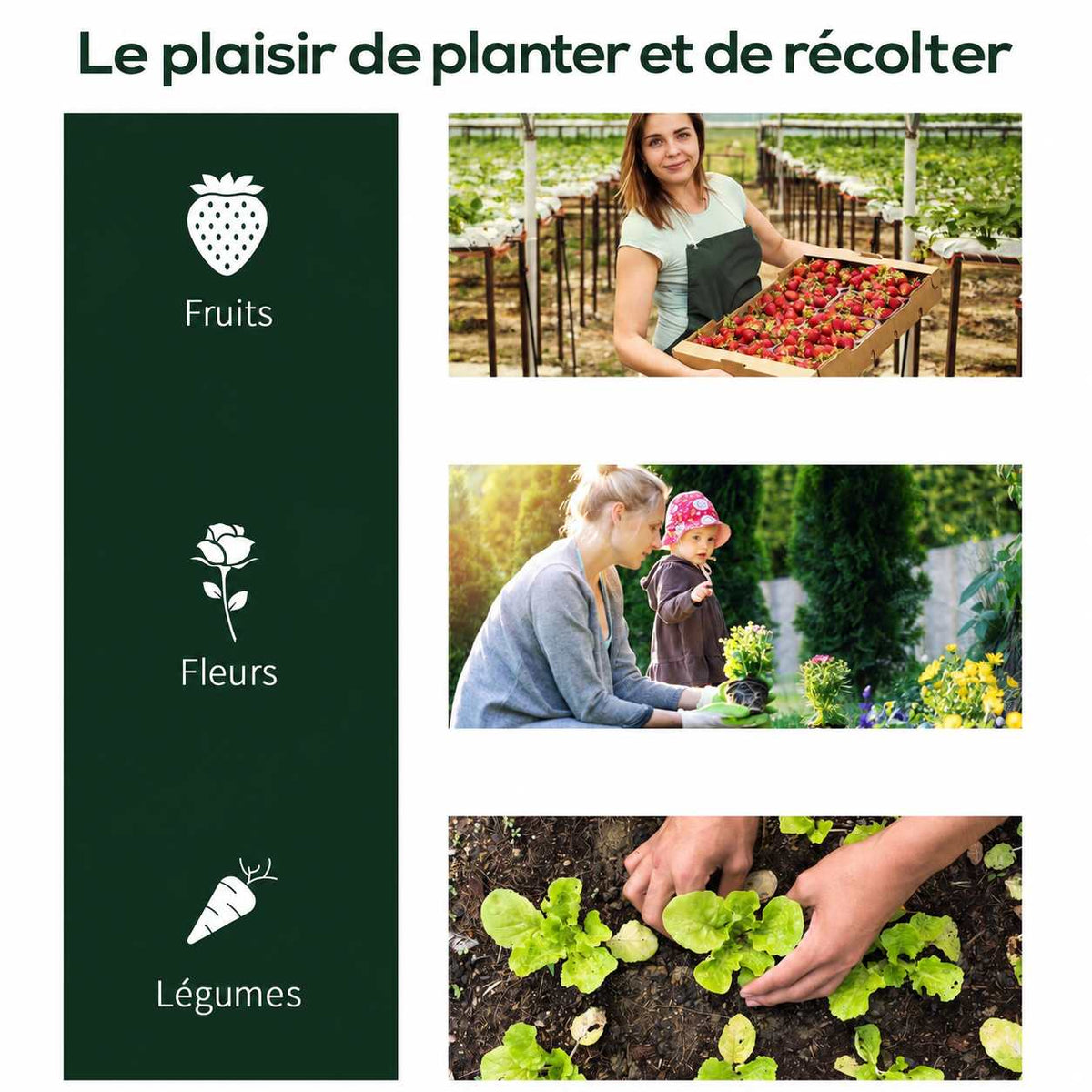 Scènes de récolte et de plantation de fruits, fleurs et légumes
