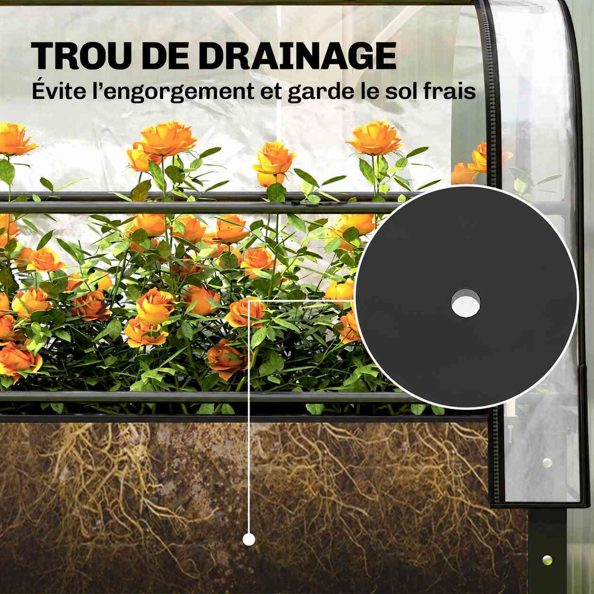 Coupe du bac potager montrant les racines et un trou de drainage