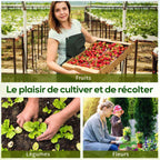 Exemples de cultures de fruits, légumes et fleurs sous serre