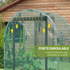 Porte enroulée de la cage fruitière verte