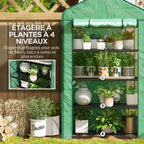 Plantes en pots sur quatre niveaux de la serre verte