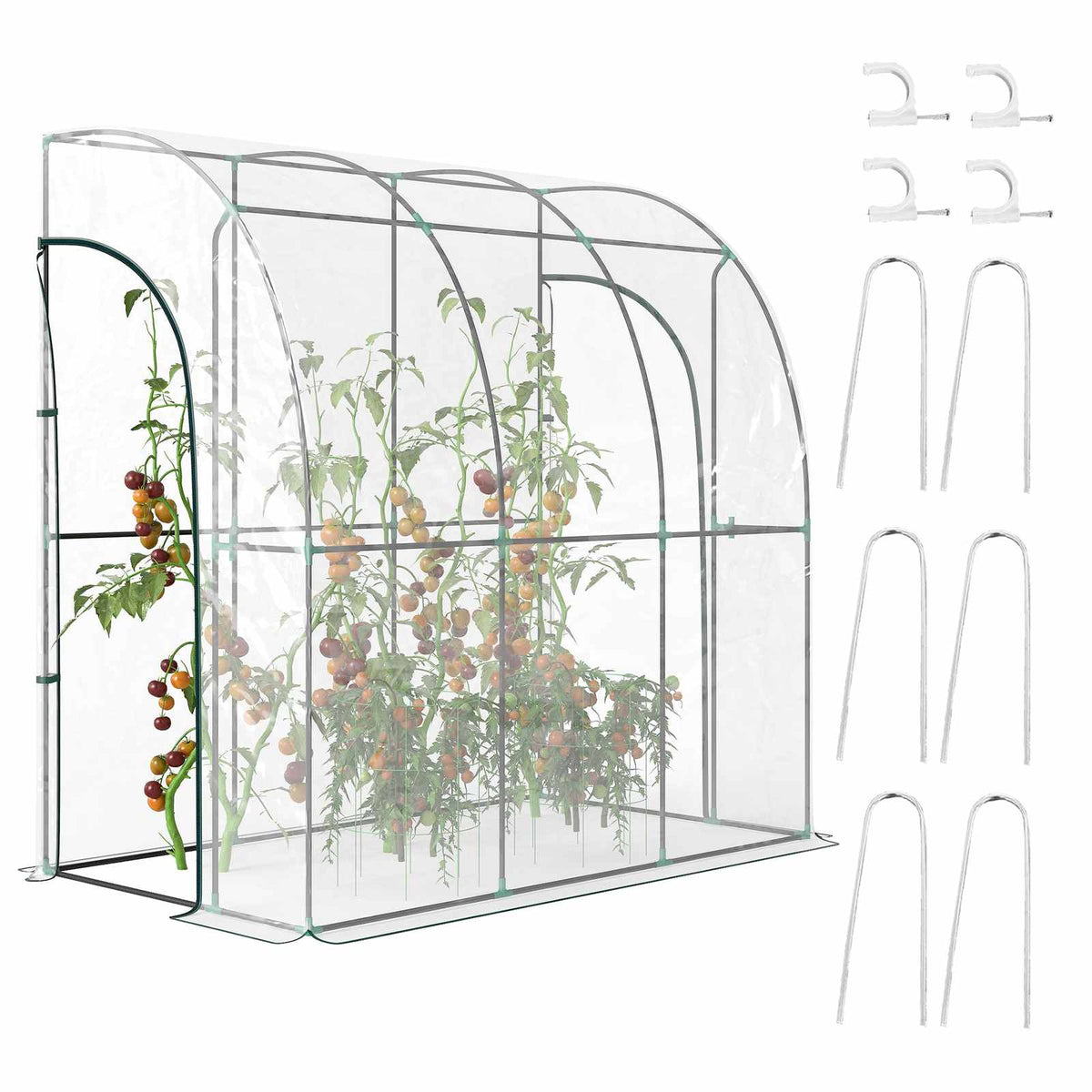 Serre adossée transparente avec plantes, fixations murales et piquets de sol
