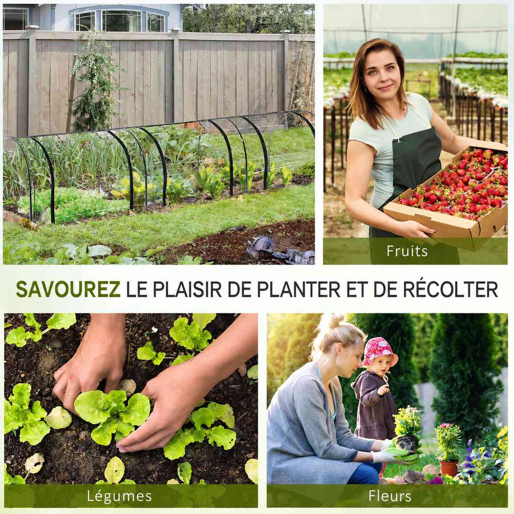 Mini-serre et exemples de cultures de fruits, légumes et fleurs