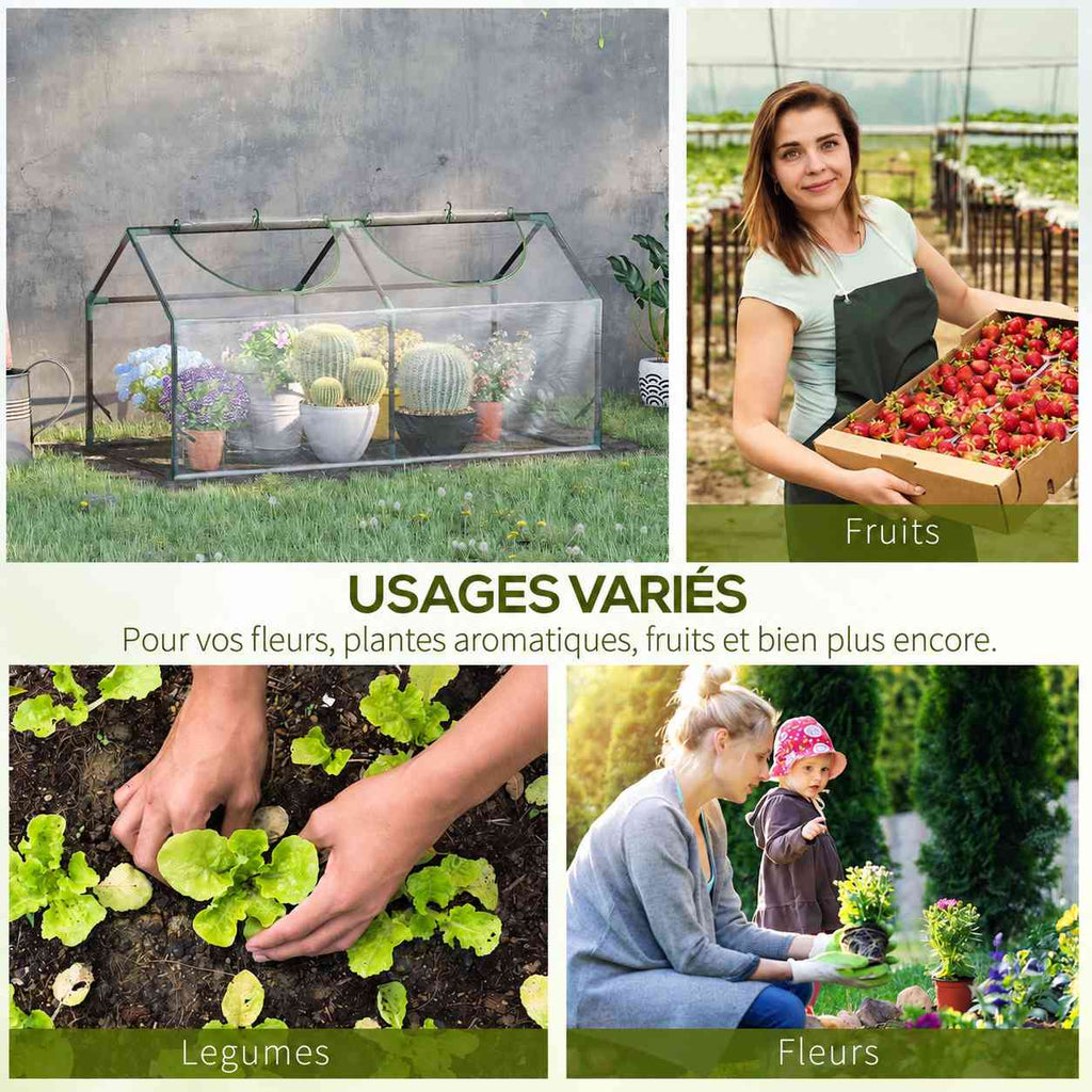 Mini-serre et exemples de cultures de fruits, légumes et fleurs