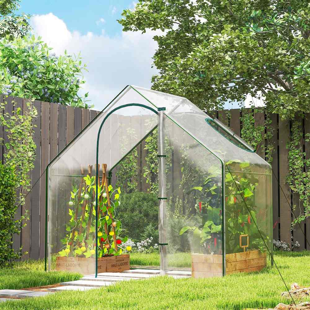 Serre transparente avec cultures près d’une clôture en bois