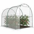 Serre tunnel transparente avec porte ouverte et plants de tomates