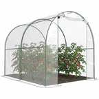 Serre tunnel transparente avec porte ouverte et plants de tomates