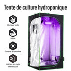 Chambre de culture ouverte avec éclairage violet à l’intérieur